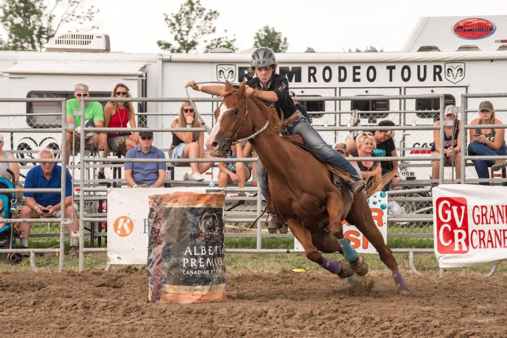 A woman rider skillfully maneuvers her horse around barrels at an outdoor rodeo competition.